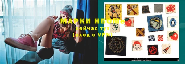 шишки Нея