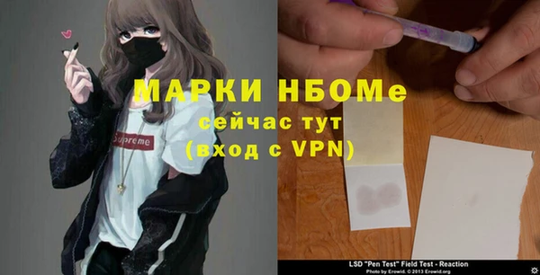твердый Новокубанск