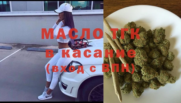 гашик Анива