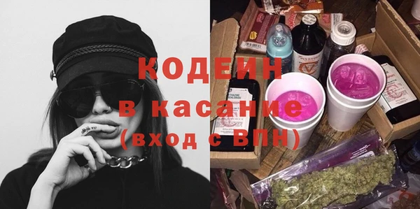 шишки Нея