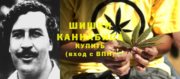 сатива Нефтегорск