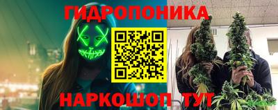 МДМА Можга