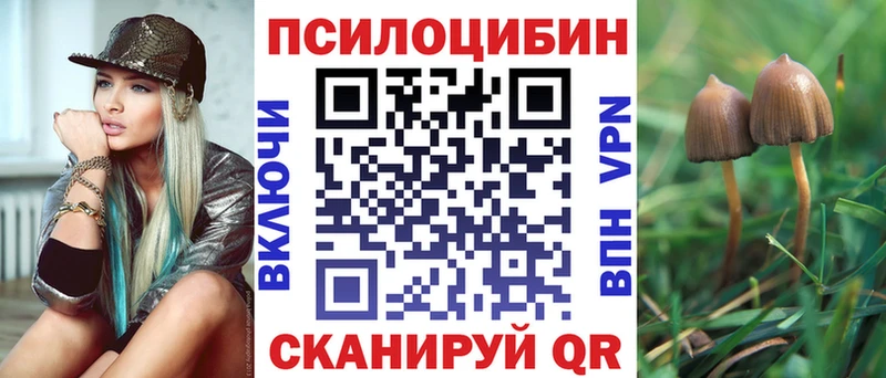 сколько стоит  Сочи  Псилоцибиновые грибы Psilocybe 